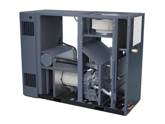 Atlas ZR37-55VSD เครื่องปรับอากาศสกรูไร้น้ํามันเพื่อความปลอดภัยและความน่าเชื่อถือของสินค้า